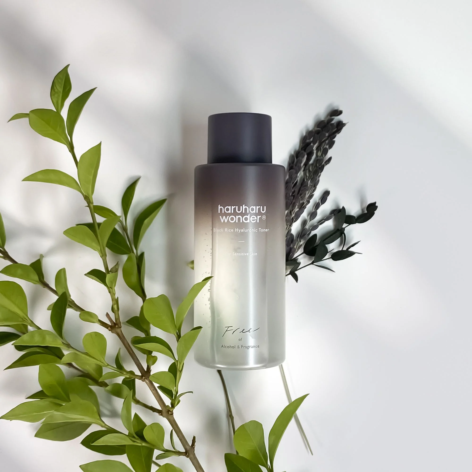 Black Rice Hyaluronic Toner Free of Alcohol Fragrance 300ml - Image 5